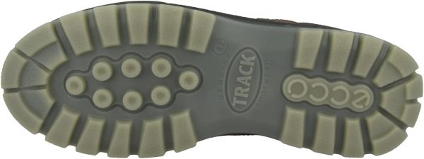 Ecco Men's Track II Low GORE-TEX waterproof outdoor hiking shoe-4