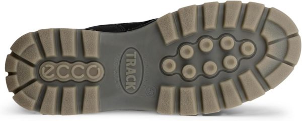 ECCO Men's Track 25 High Gore-tex Waterproof Hiking Boot-3